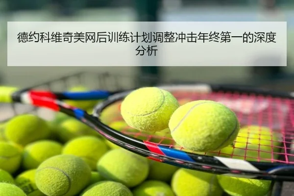 德约科维奇美网后训练计划调整冲击年终第一的深度分析